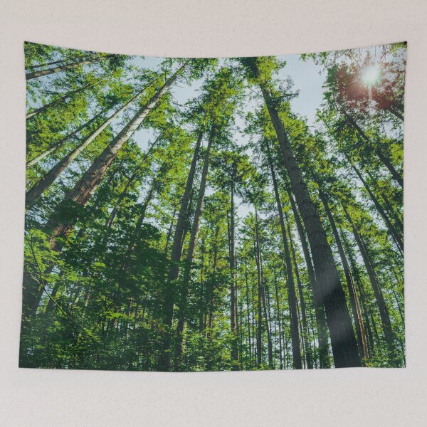 Item preview, Trees from below designed and sold by Adventuredream.