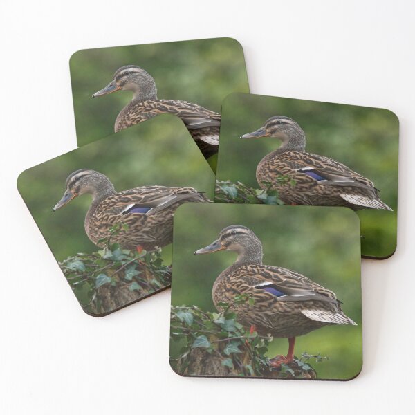 Item preview, Mallard Duck designed and sold by karmardesigns.