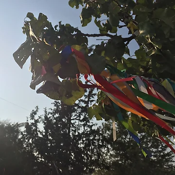 Artwork thumbnail, Wishing Tree Ribbons by RochelleLee