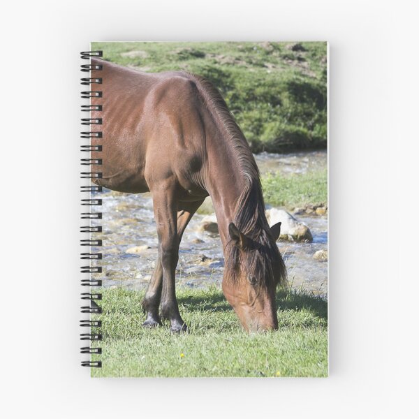 Item preview, Brown Horse by a Creek designed and sold by Karcer.
