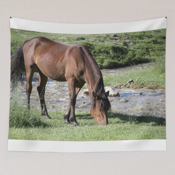 Item preview, Brown Horse by a Creek designed and sold by Karcer.
