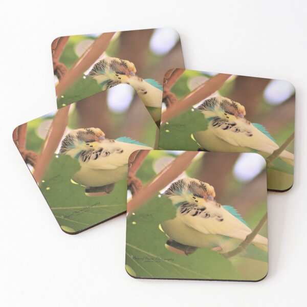Item preview, Birds designed and sold by Darlene Boudreaux.