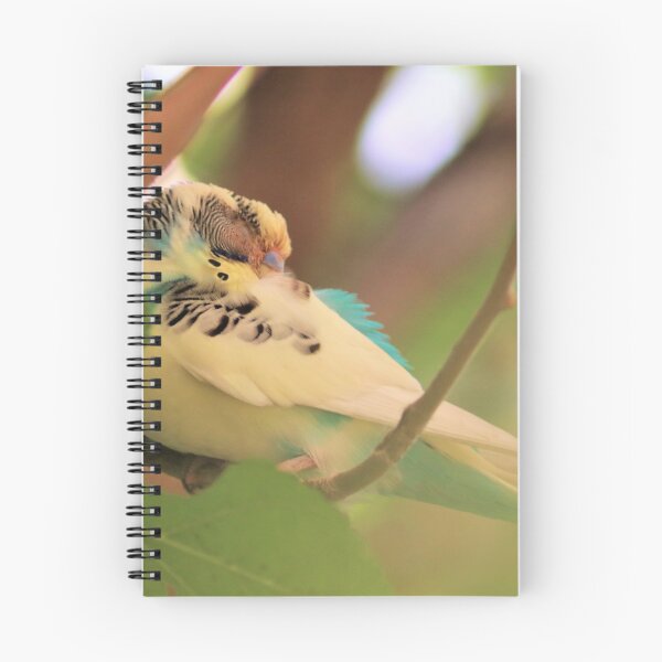 Item preview, Birds designed and sold by Darlene Boudreaux.