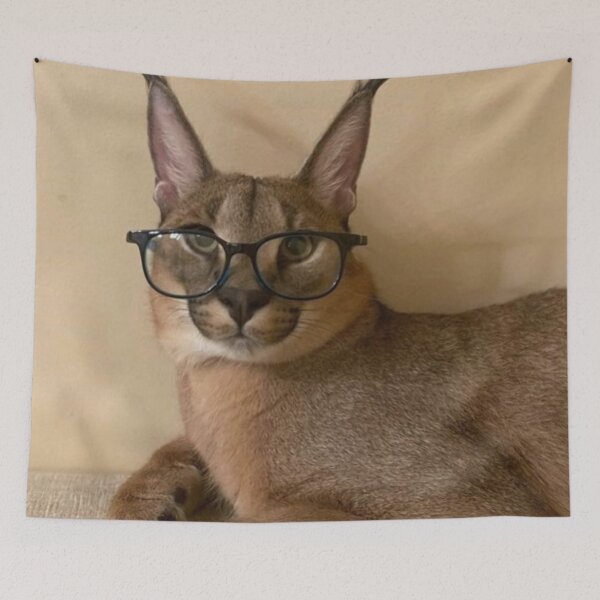 Item preview, Studious Floppa designed and sold by Karcer.