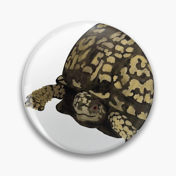 Item preview, Box Turtle designed and sold by Cedarrue.