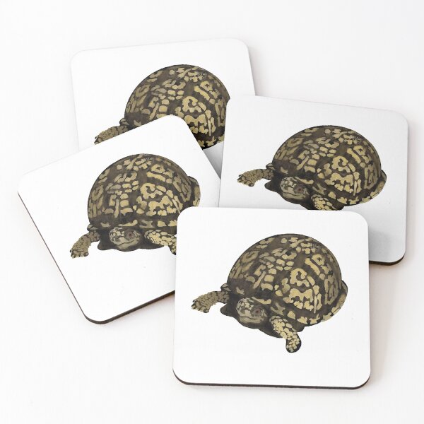 Item preview, Box Turtle designed and sold by Cedarrue.