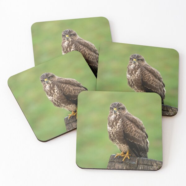 Item preview, Common Buzzard designed and sold by karmardesigns.