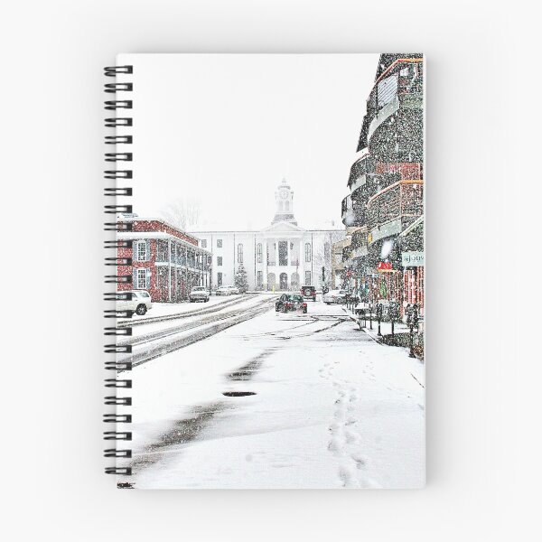 Item preview, North Lamar Square designed and sold by Amanda Carper.