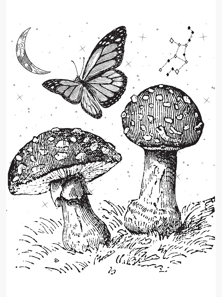 Mushroom Village Colouring Page, Cottagecore Colouring Pages, Fairycore,  Mushroom Decor, Mushroom Drawing, Mushroom Gifts, Adult Colouring 