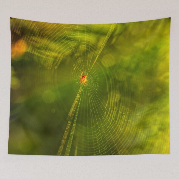 Item preview, Spider web 3 designed and sold by Veikko  Suikkanen.