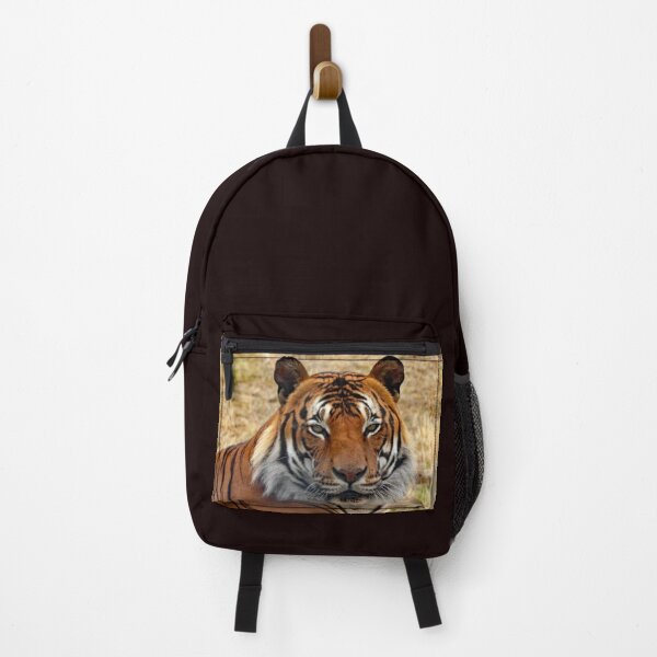 Item preview, A Gorgeous Malayan Tiger designed and sold by Karen Thomson.
