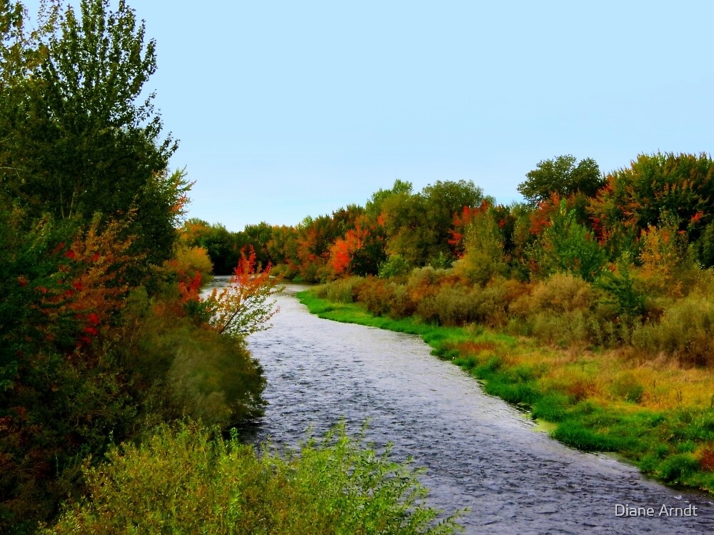 "Boise River....Middleton, Idaho" by Diane Arndt Redbubble