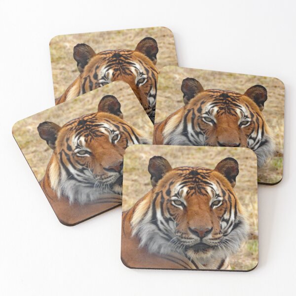 Item preview, A Gorgeous Malayan Tiger designed and sold by Karen Thomson.
