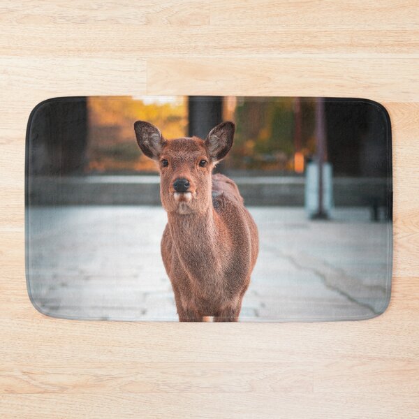 Item preview, Cute Japanese Shika Deer posing in Nara, Japan| 奈良の可愛い鹿 designed and sold by parenvlogs.