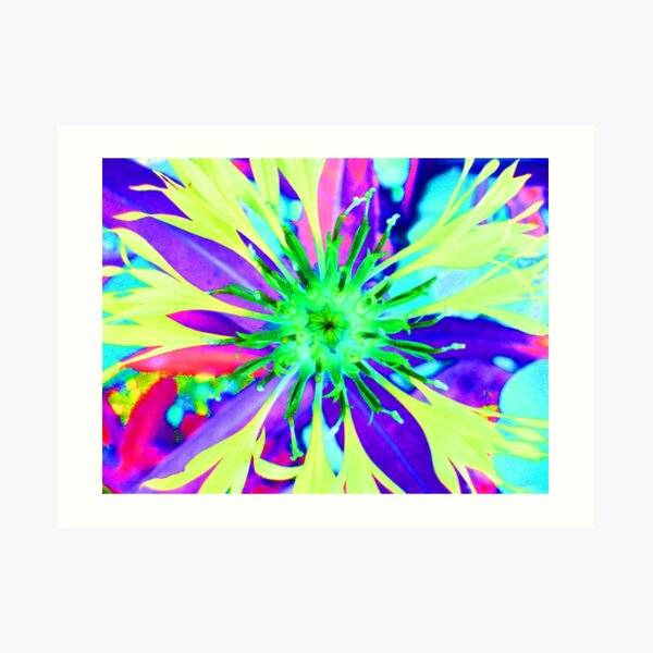 Psychedelic Cornflower Art Print
