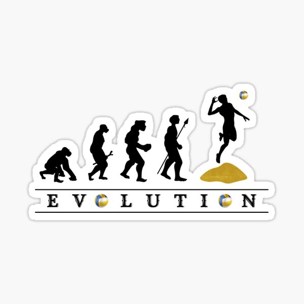 Funny Drinking Evolution, Beer Drinker gifts for Drunk Sticker for Sale by  Click-Like