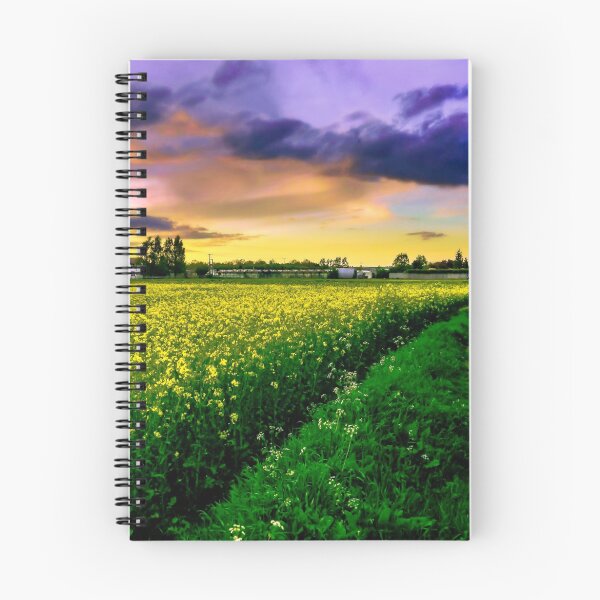 Item preview, Rapeseed Sunset designed and sold by ScenicViewPics.