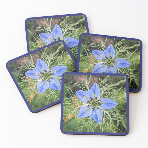 Item preview, Nigella damascena summer flower designed and sold by Fluffycat2020.