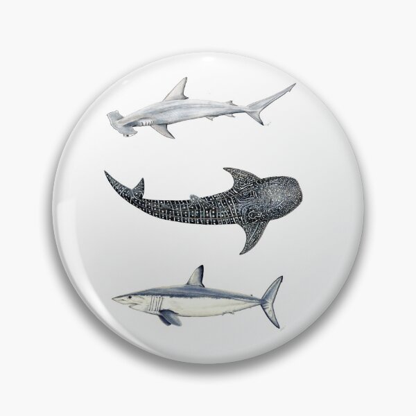 Item preview, Shark trio: hammerhead shark, whale shark and mako shark designed and sold by chloeyzoard.