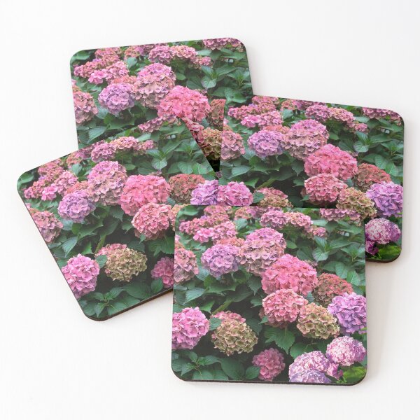 Item preview, Shabby Chic Multicolor Hydrangea Garden Flowers Cottage Wall Art Prints designed and sold by Erika Bartha.