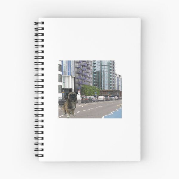 Item preview, Stratty High Street designed and sold by BuddyTheBrat.