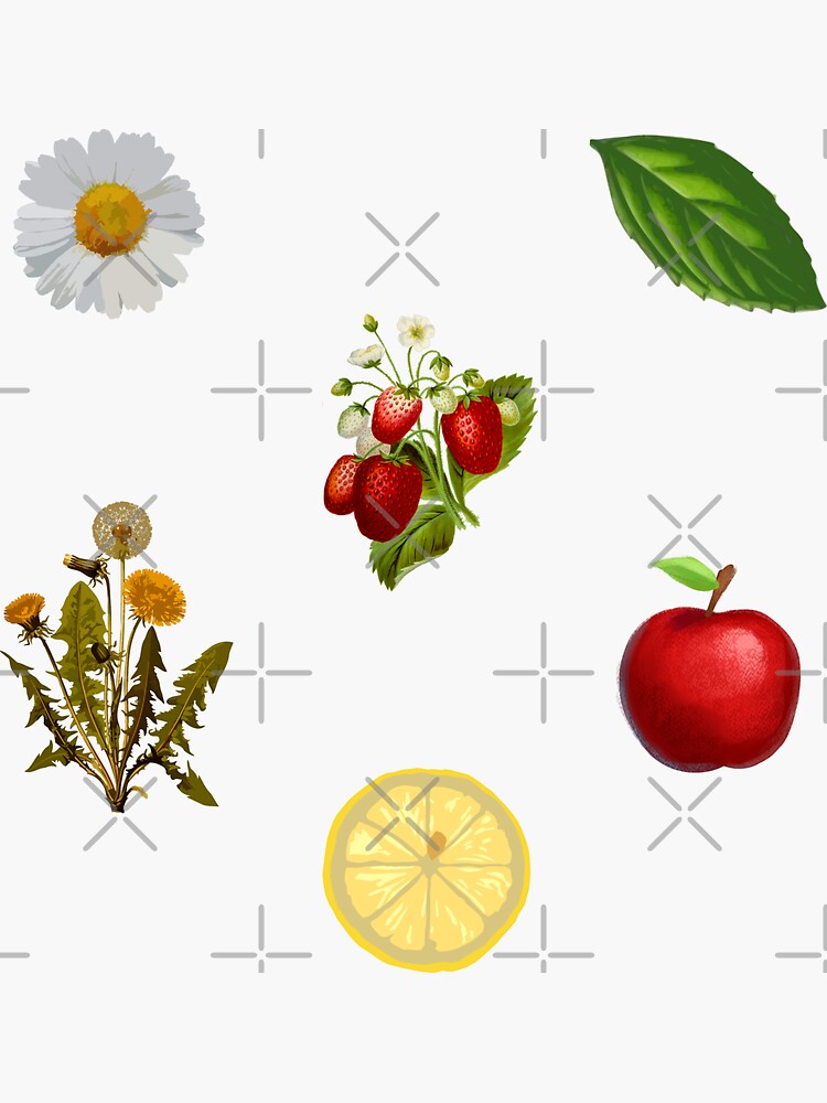 Apple cottagecore sticker pack