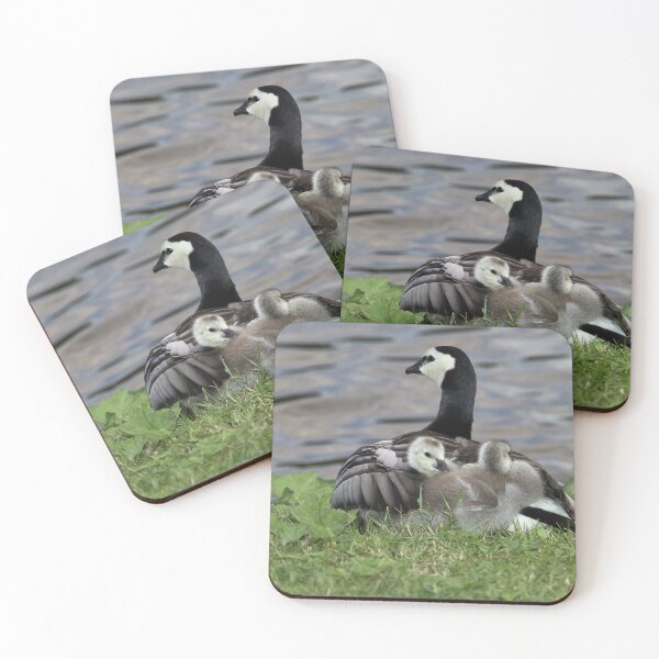 Item preview, Take us under your wing. Barnacle goose designed and sold by Jouko Lehto Photography.