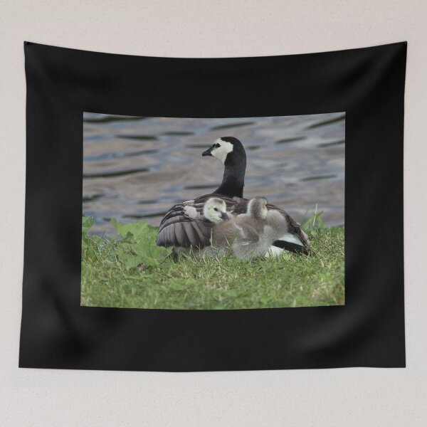 Item preview, Take us under your wing. Barnacle goose designed and sold by Jouko Lehto Photography.