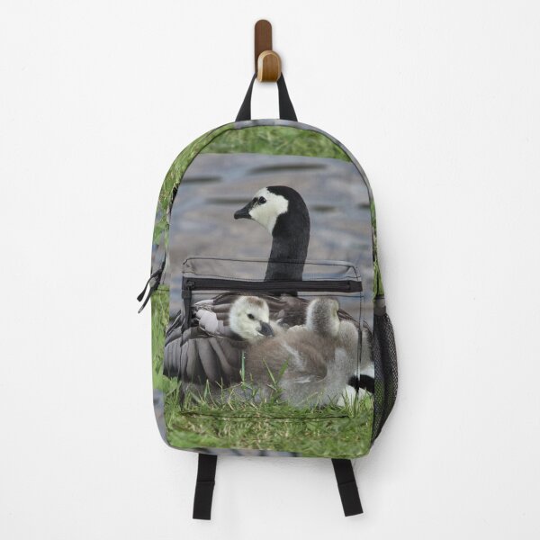 Item preview, Take us under your wing. Barnacle goose designed and sold by Jouko Lehto Photography.