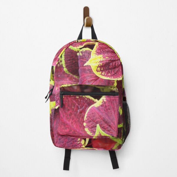 Item preview, Coleus (Walter Turner) designed and sold by Nathalie Fortier.