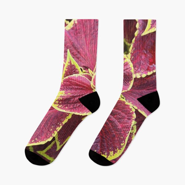 Item preview, Coleus (Walter Turner) designed and sold by Nathalie Fortier.