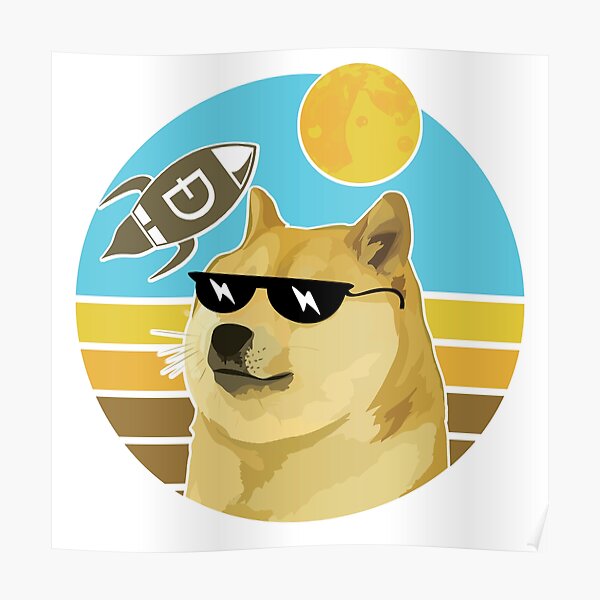 rocket dog sunglasses