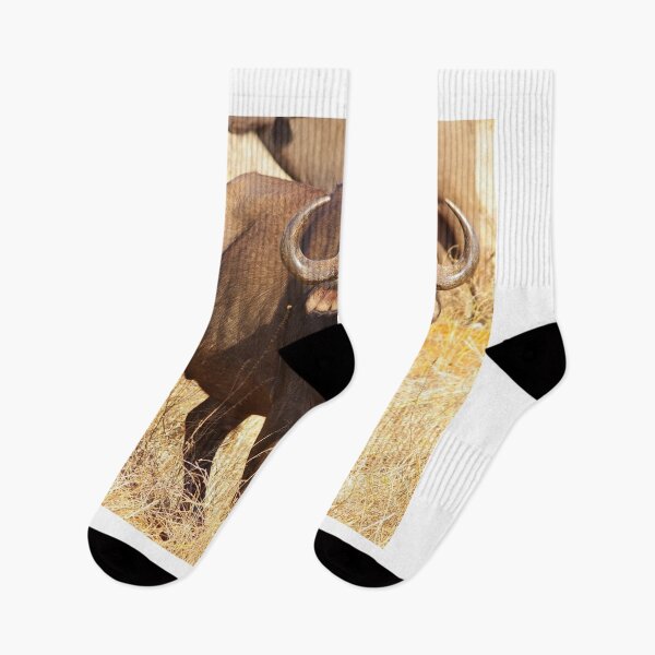 Item preview, African Cape Buffalo designed and sold by RBDESIGN SHOP.