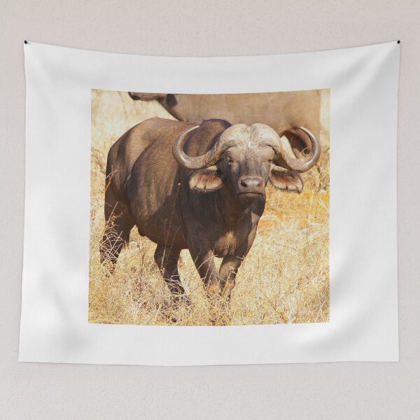 Item preview, African Cape Buffalo designed and sold by RBDESIGN SHOP.