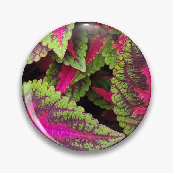 Item preview, Winsome Coleus designed and sold by Nathalie Fortier.