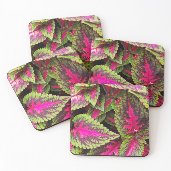 Item preview, Winsome Coleus designed and sold by Nathalie Fortier.