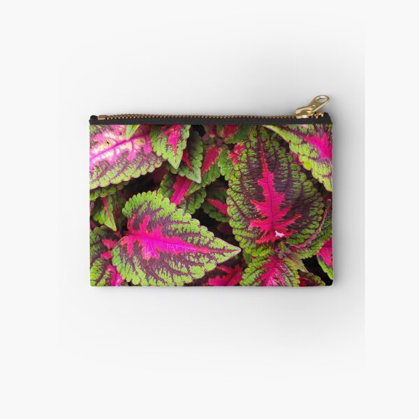 Item preview, Winsome Coleus designed and sold by Nathalie Fortier.