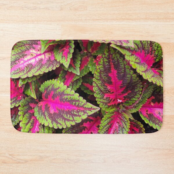 Item preview, Winsome Coleus designed and sold by Nathalie Fortier.