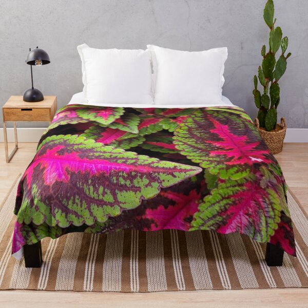 Item preview, Winsome Coleus designed and sold by Nathalie Fortier.