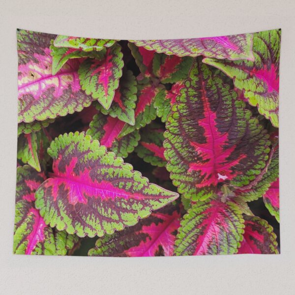Item preview, Winsome Coleus designed and sold by Nathalie Fortier.