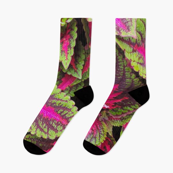 Item preview, Winsome Coleus designed and sold by Nathalie Fortier.