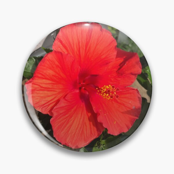 Item preview, Red Hibiscus designed and sold by KacieRochelle.