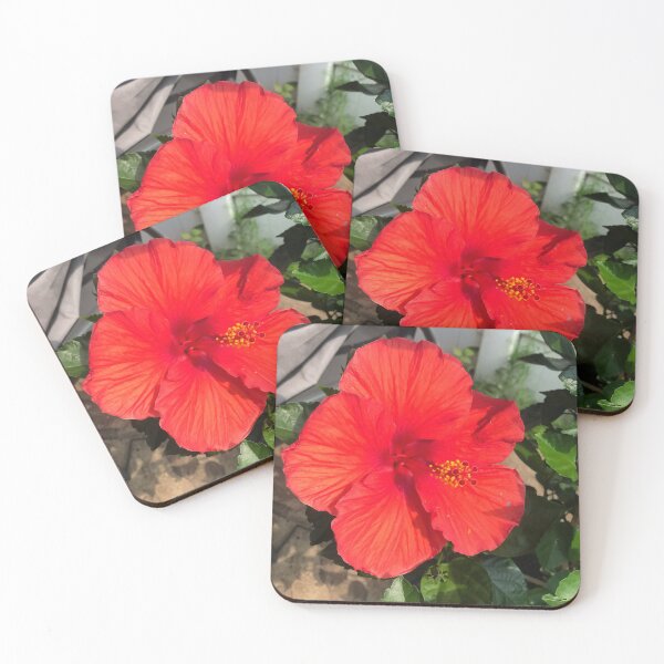 Item preview, Red Hibiscus designed and sold by KacieRochelle.