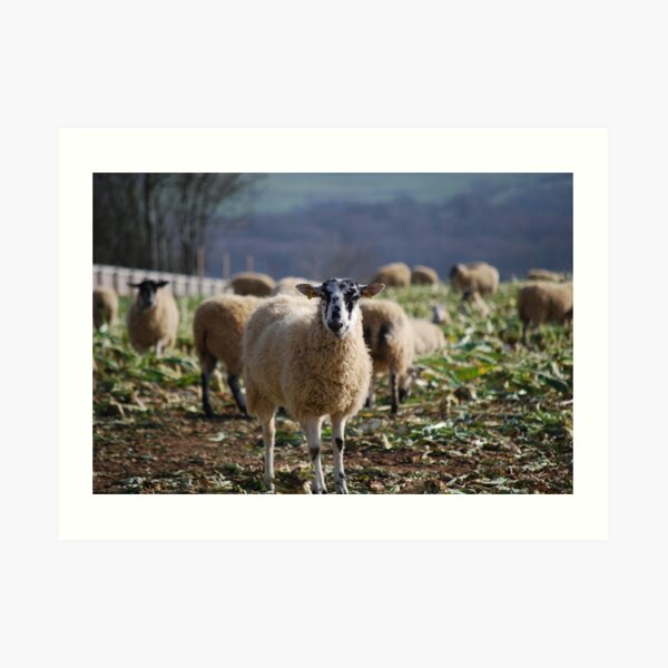Baaaaaa! Art Print
