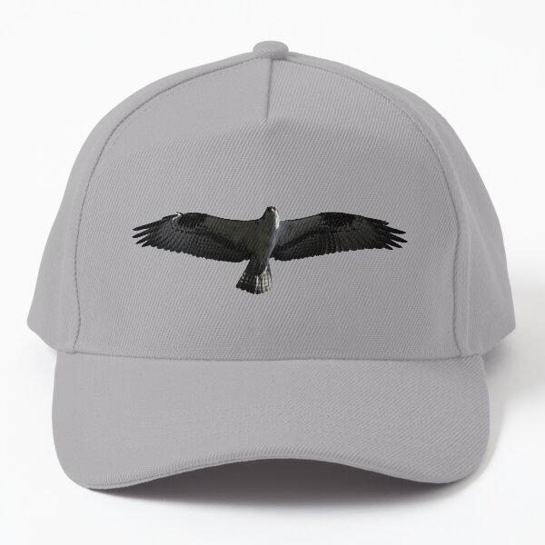 Bird of prey - Osprey in flight Baseball Cap