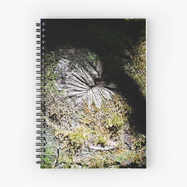 Item preview, Natures Design..........Devon UK designed and sold by lynn carter.