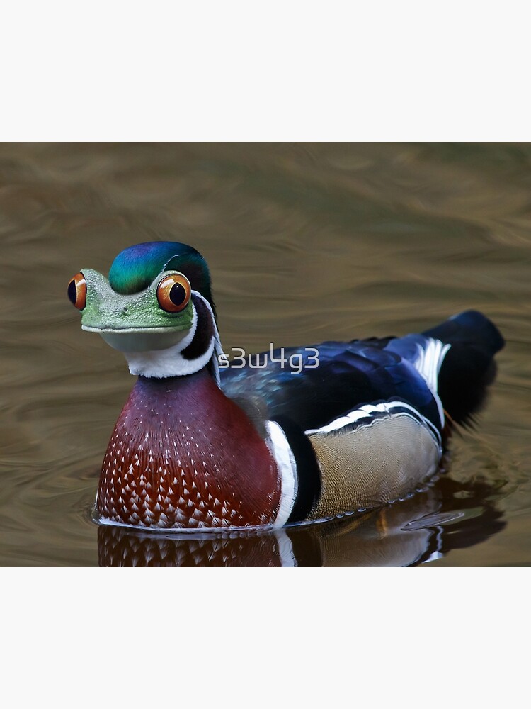 "Dog (duck/frog) HybridAnimal" Canvas Print for Sale by s3w4g3 | Redbubble