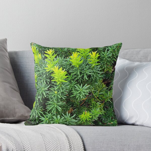 Item preview, Sunburst Yew designed and sold by Nathalie Fortier.