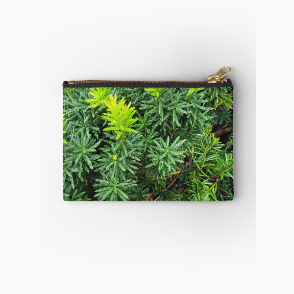 Item preview, Sunburst Yew designed and sold by Nathalie Fortier.