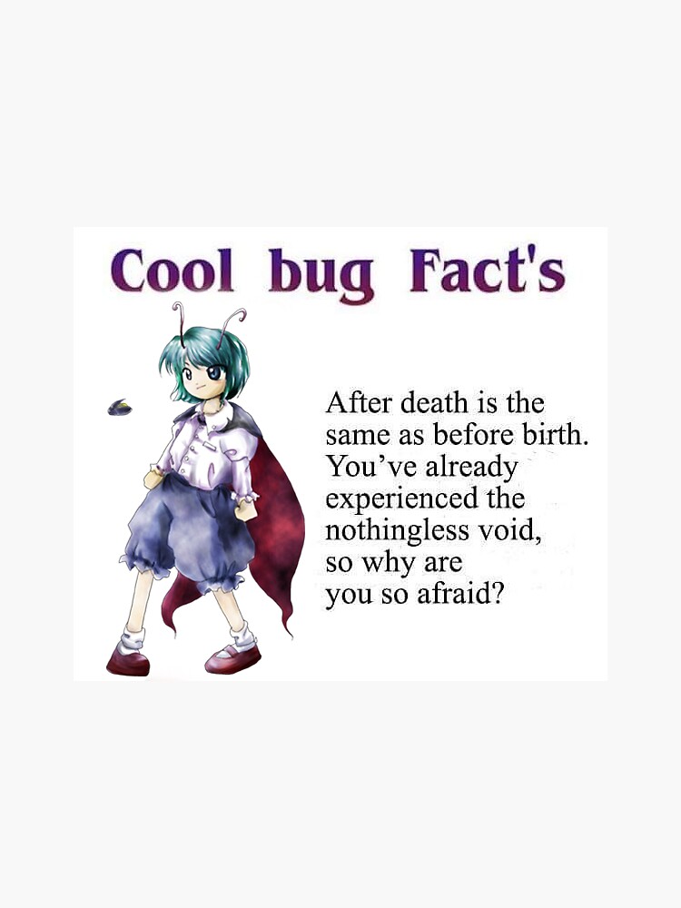 cool-bug-facts-sticker-for-sale-by-milkymintshoppe-redbubble